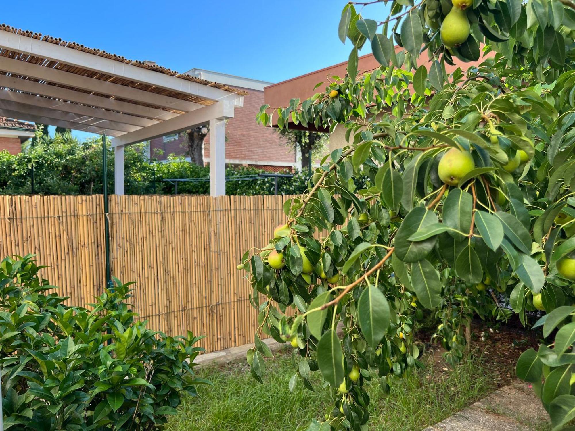 Civiconove Apartamento Piombino Exterior foto